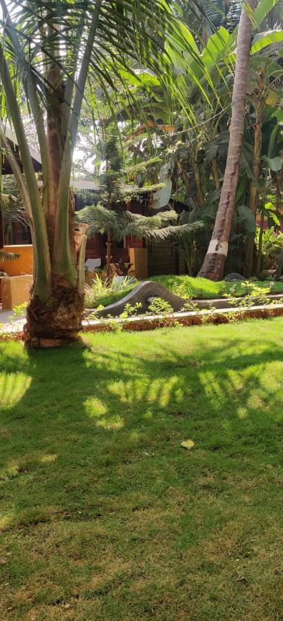 Tattvam On The Beach - Retreat And Spa Arambol Εξωτερικό φωτογραφία